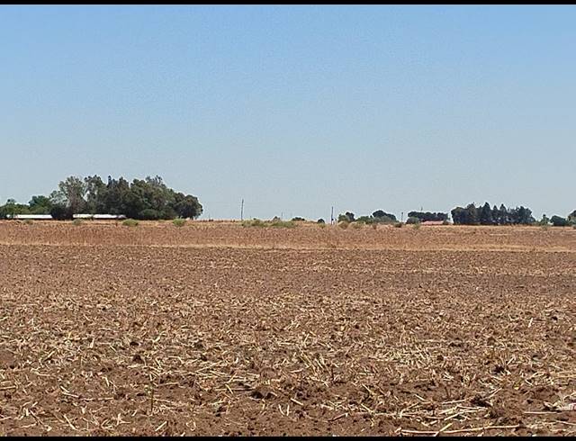 20.20HA VACANT LAND FOR SALE IN CHRISSIEFONTEIN